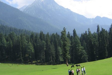 Srinagar Honeymoon Tour( 8nights 9Days)