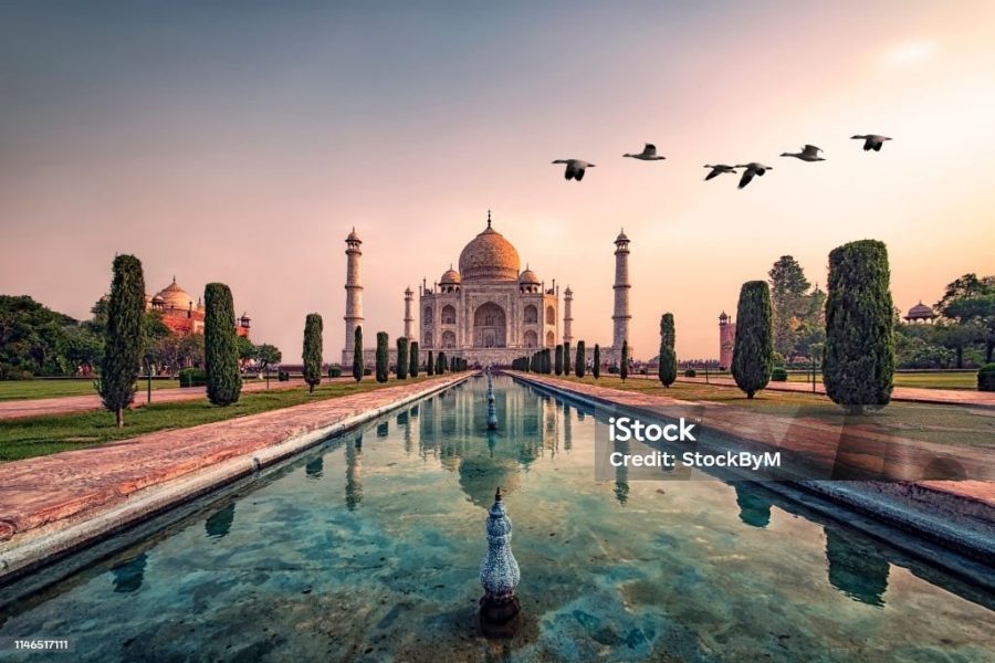 Best of Golden Triangle ( 5 Days)