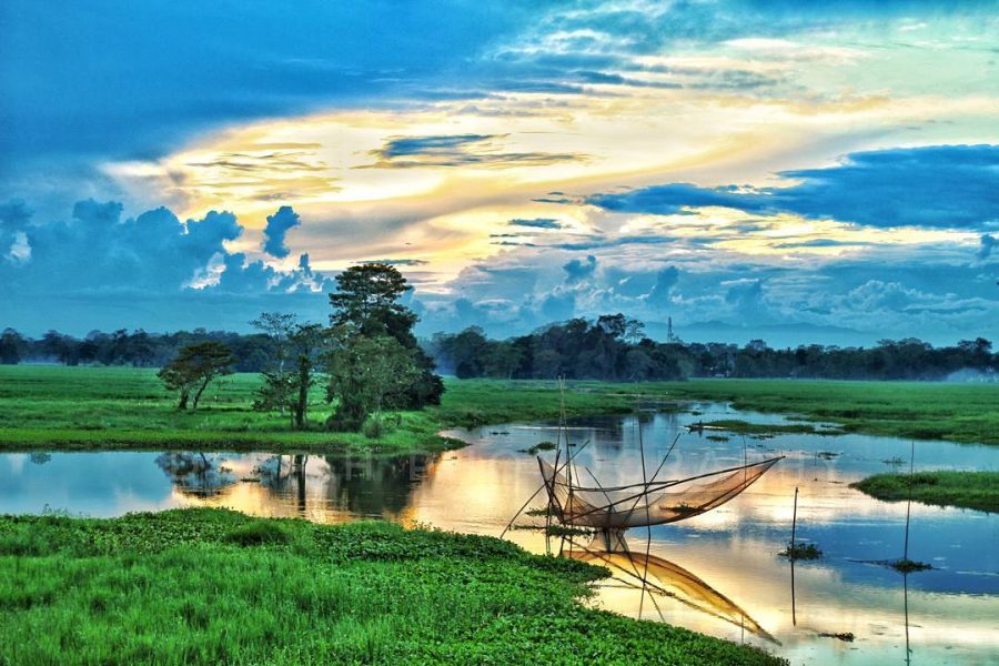 Assam Tour (Kaziranga National Park) ( 6 Days)