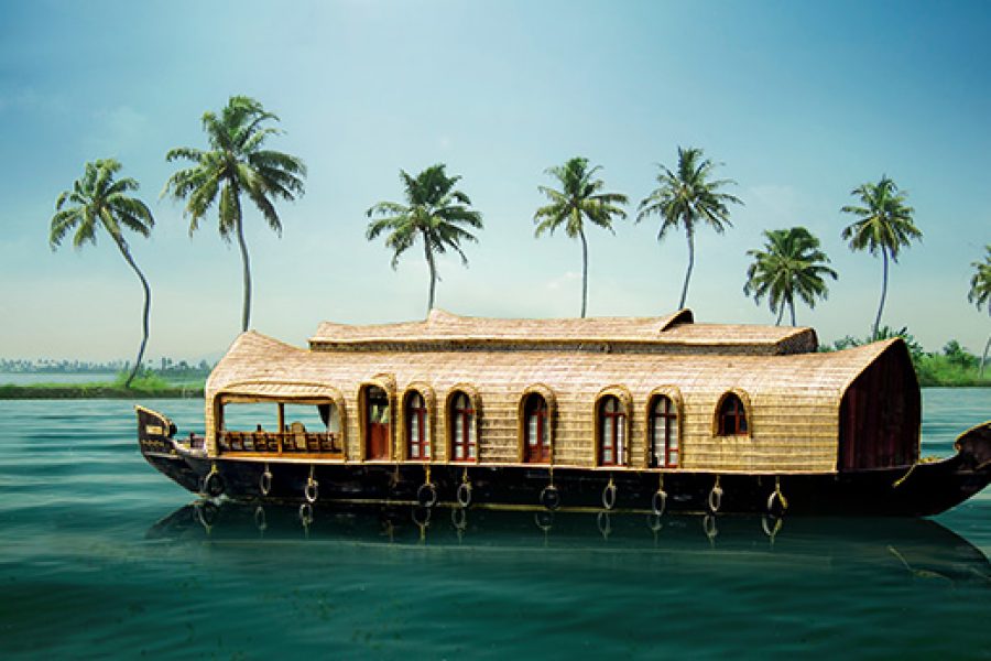 Thekkady & Alleppey Houseboat Package ( 7 Days)