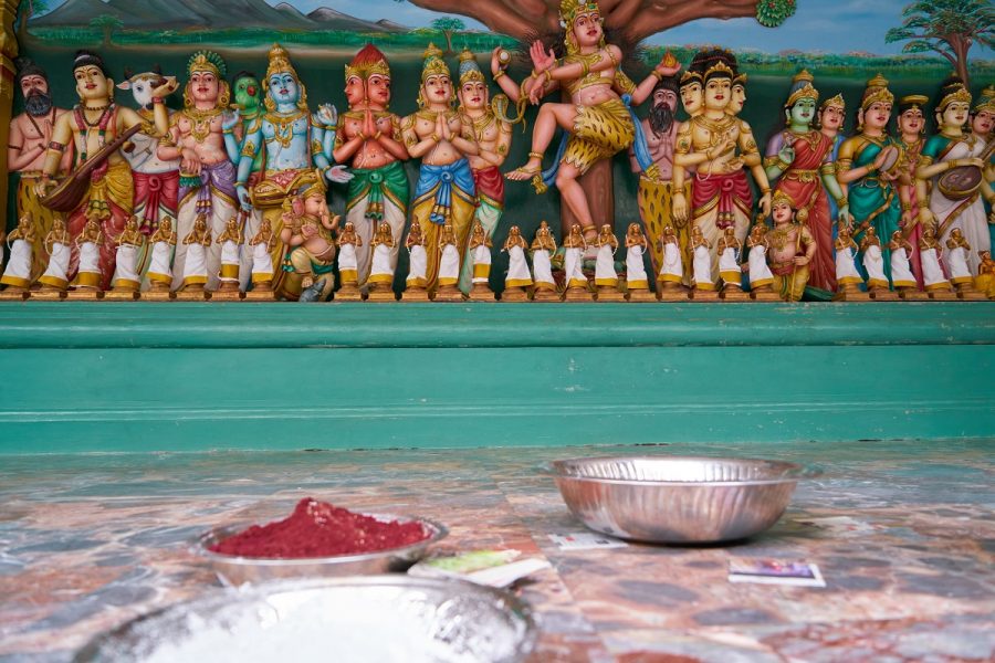 Hill Excursion of South India ( 7 Days)