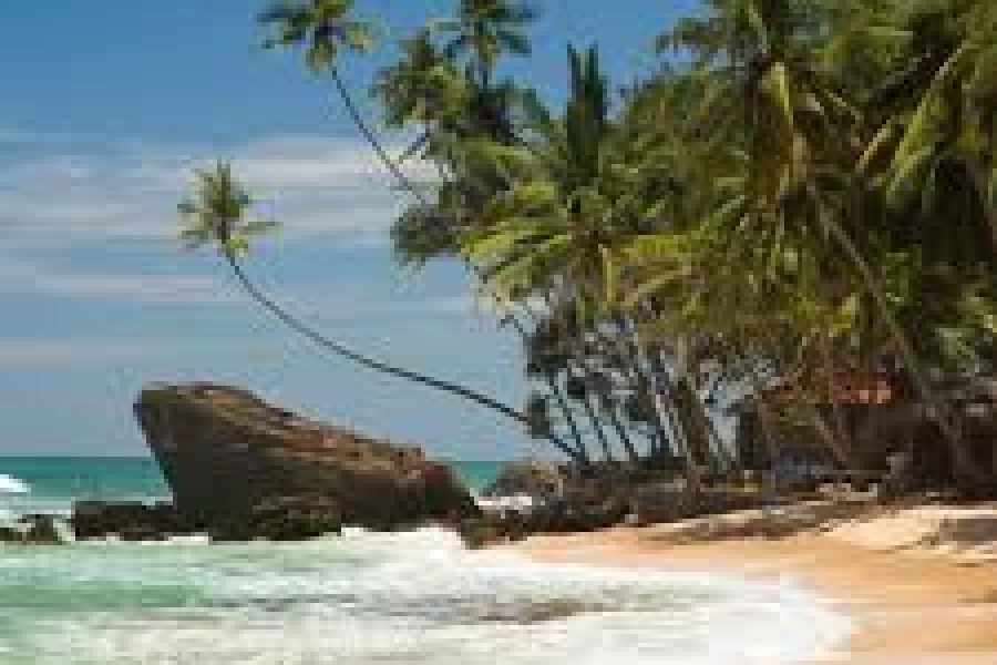 SRI LANKA 2N Bentota & 1N Colombo (INR 23,500/- PP)