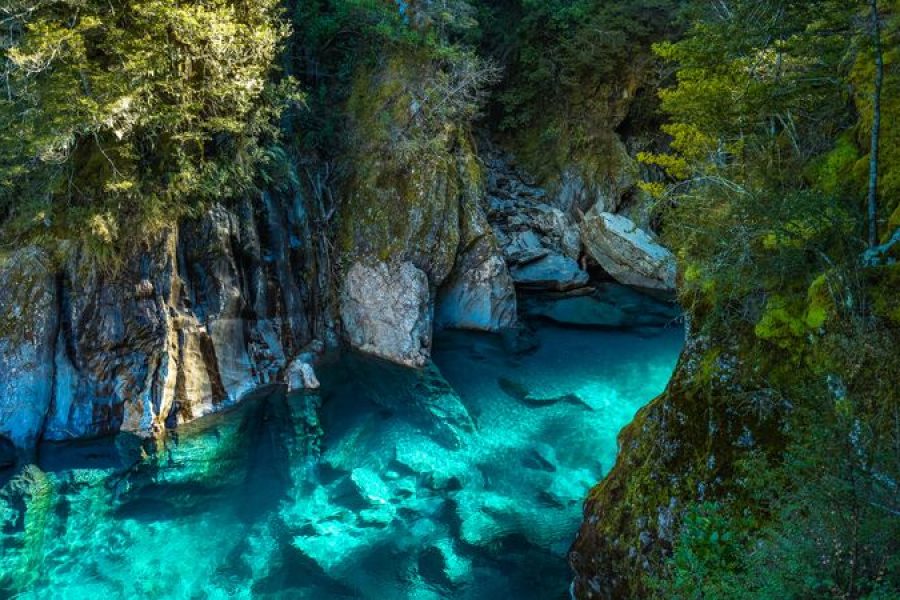 Colours Of New Zealand ( 9nights 10 Days)