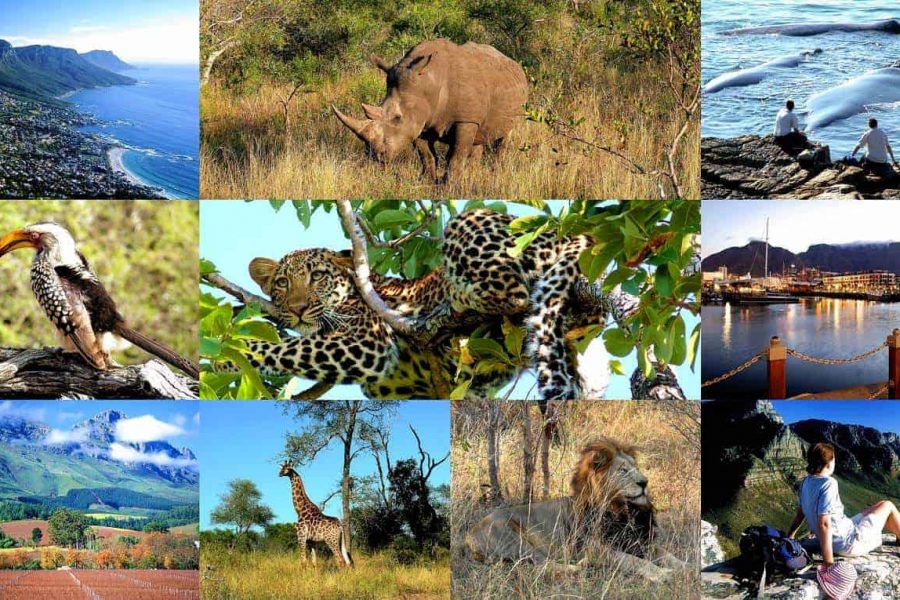 Hidden Treasures of Karnataka With Kerala ( 11 Days)