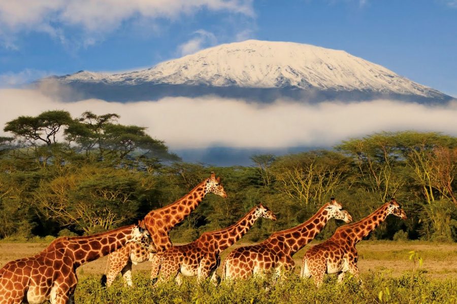 Tanzania Holiday Package (6nights 7nights)